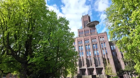 4K UHD dynamic handheld shot of Utrecht city hall with spring trees Vídeos de archivo 347200600