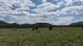 4K UHD epic landscape Bonito Park Flagstaff wide  4k or 4k+ Resolution