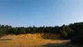 4k UHD full moon time lapse shadow sandpit tree 11054 4k or 4k+ Resolution