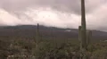 4K UHD gloomy winter clouds hang on mountain saguaro cactus time lapse medium 4k or 4k+ Resolution