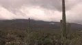 4K UHD gloomy winter clouds hang on mountain saguaro cactus real time medium 4k or 4k+ Resolution