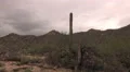 4K UHD gloomy winter clouds mountain ridge saguaro cactus real time wide 4k or 4k+ Resolution