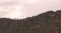 4K UHD gloomy winter clouds mountain ridge saguaro cactus real time tight 4k or 4k+ Resolution