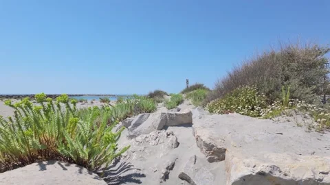 4K UHD handheld panning shot of coastal beach rocks and vegetation Stock-Footage 347127053