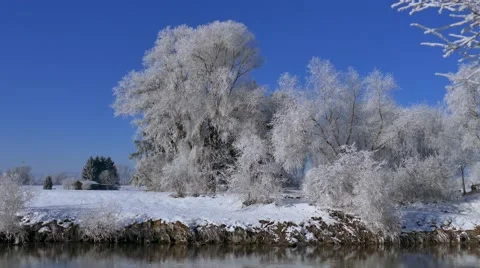 4K UHD - Hoarfrost on trees Stock Footage 47008728
