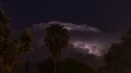 4K UHD large thunderhead flashes behind palm tree wide time lapse 4k or 4k+ Resolution