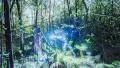 4k UHD making of a time lapse in forest 11332 4k or 4k+ Resolution