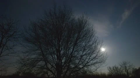 4k UHD moon rise behind tree 10893 Stock Footage 22348151