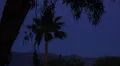 4K UHD moon with silhouettes of trees real time v4 4k or 4k+ Resolution