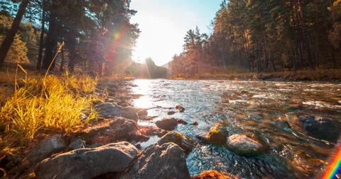 4K UHD mountain river timelapse at the summer or autumn time. Wild nature, clear Stock Footage 221685029