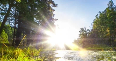 4K UHD mountain river timelapse at the summer or autumn time. Wild nature, clear Stock Footage 221697045