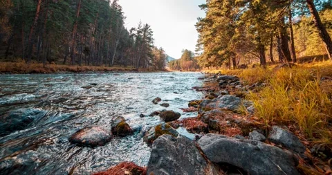 4K UHD mountain river timelapse at the summer or autumn time. Wild nature, clear Stock Footage 221697690