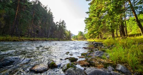 4K UHD mountain river timelapse at the summer or autumn time. Wild nature, clear Stock Footage 290445170