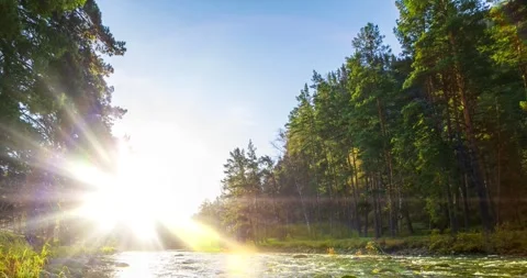 4K UHD mountain river timelapse at the summer or autumn time. Wild nature, clear Stock Footage 294437061
