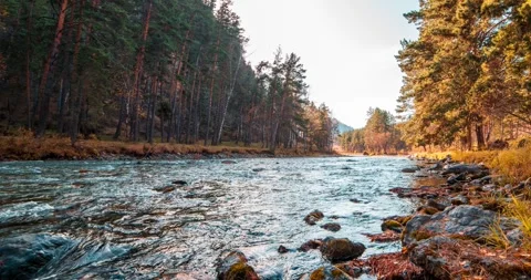 4K UHD mountain river timelapse at the summer or autumn time. Wild nature, clear Stock Footage 294493587