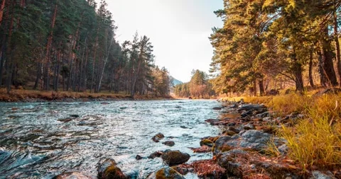 4K UHD mountain river timelapse at the summer or autumn time. Wild nature, clear Stock Footage 294493764