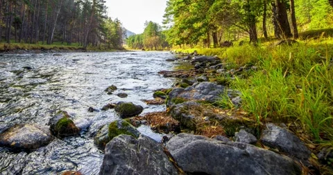 4K UHD mountain river timelapse at the summer or autumn time. Wild nature, clear Stock Footage 294493847