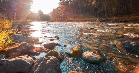4K UHD mountain river timelapse at the summer or autumn time. Wild nature, clear Stock Footage 310719992