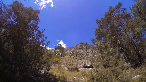 4K UHD mountain timelapse at the summer. Clouds green trees and sun rays Stock Footage 119889692