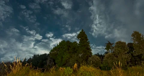4k UHD Night cloud pass timelapse from road side with trees Video stock 226516807