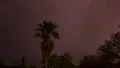 4k UHD NTSC Intense lightning storm behind palm tree silhouette time lapse 4k or 4k+ Resolution