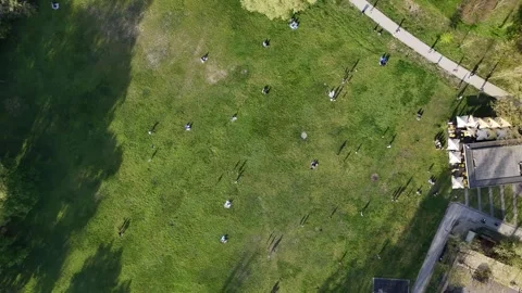4K | UHD Park Overhead Around Sunset. Tall Shadows Stock-Footage 333311416