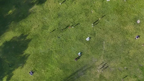 4K | UHD Park Overhead Around Sunset. Tall Shadows Vídeos de archivo 333311439