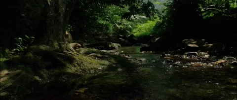 4K UHD Seamless Anamorphic Cinema Of A River Stock-Footage 162774112
