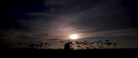 4K UHD Seamless Anamorphic Cinema Of Sunset Stock-Footage 162774177