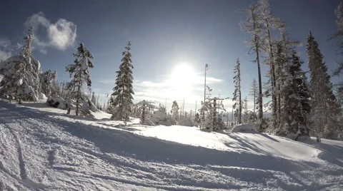 4K UHD:  Skier goes down the hill in a snowy forest Stock-Footage 48701020