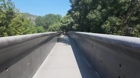 4K UHD slow handheld tracking shot on concrete forest bridge with trees Stock-Footage 347127281