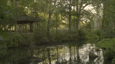 4k UHD Still stream in woods Stock Footage 70210132