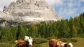 4k UHD tilt three peaks to cows dolomite alps audio 11542 4k or 4k+ Resolution