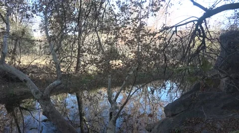 4K UHD ULTRA HD (Stream 3) Kulltech Stock-Footage 44921843