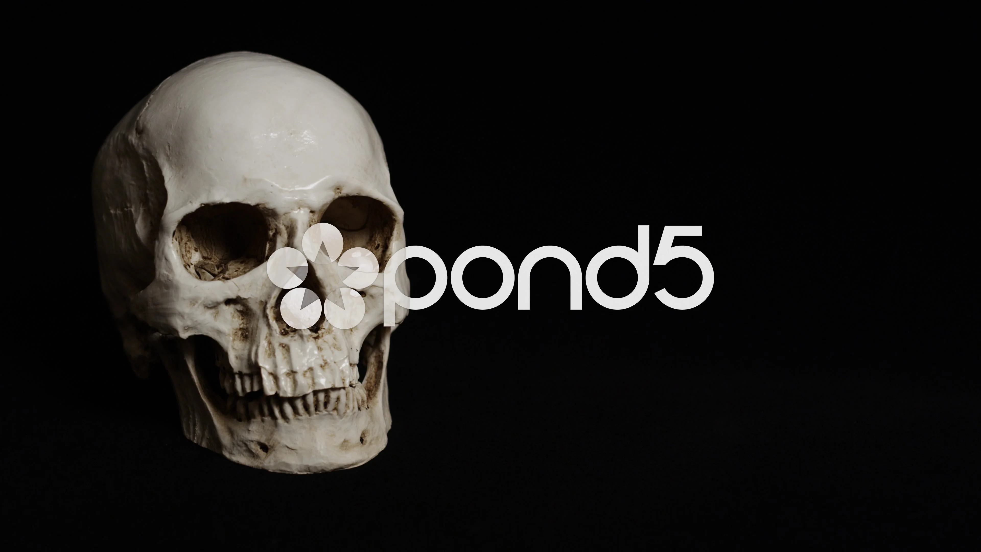 4K Ultra HD - Mysterious Human Skull on ... | Stock Video | Pond5