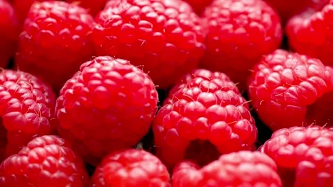 4K Ultra HD Video: Close-Up Red Raspberry Delight - Vibrant Beauty Stock Footage 261224700