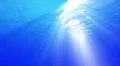 4K Underwater 40 seconds LM01 Loop Sunlight 4k or 4k+ Resolution