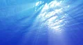 4K Underwater 40 seconds LM05 Loop Sunlight 4k or 4k+ Resolution