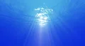 4K Underwater 40 seconds LM07 Loop Sunlight 4k or 4k+ Resolution