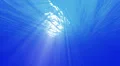 4K Underwater 40 seconds LM10 Loop Sunlight 4k or 4k+ Resolution