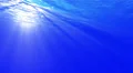 4K Underwater 40 seconds LM12 Loop Sunlight 4k or 4k+ Resolution