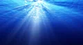 4K Underwater 40 seconds LM13 Loop Sunlight 4k or 4k+ Resolution