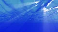 4K Underwater 40 seconds LM15 Loop Sunlight 4k or 4k+ Resolution