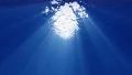 4K Underwater 60 seconds LM03 Loop Sunlight 4k or 4k+ Resolution