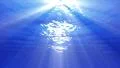 4K Underwater 60 seconds LM06 Loop Sunlight 4k or 4k+ Resolution