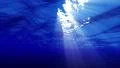 4K Underwater 60 seconds LM08 Loop Sunlight 4k or 4k+ Resolution