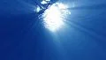 4K Underwater 60 seconds LM12 Loop Sunlight 4k or 4k+ Resolution