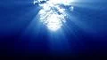 4K Underwater 60 seconds LM13 Loop Sunlight 4k or 4k+ Resolution