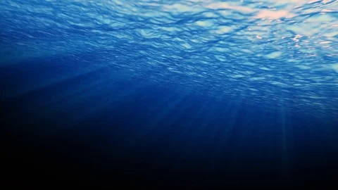 Phông nền 4k dưới nước đại dương của chúng tôi cung cấp những nguyên liệu video chất lượng cao giúp bạn dễ dàng thể hiện cảnh quay dưới nước với độ sắc nét cao và màu sắc sống động. Điều này sẽ giúp cho công việc của bạn trở nên chuyên nghiệp hơn và thu hút được sự chú ý của người xem.