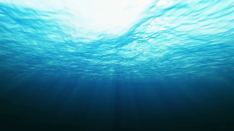 4k Underwater Background Ocean Stock Footage 92949743